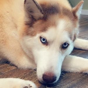 Meet your Posher, Ruby